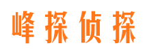 大英调查公司